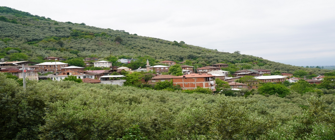 Köyümüzden Bir Manzara